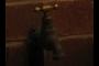 Leaky Spigot