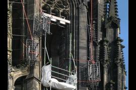 three cages