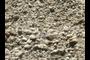 gravelly foresets