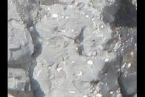 55826-210x140