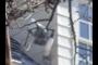 Security Camera