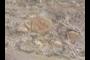 Big clasts