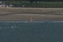 windsurfers