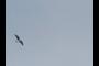 Flying High