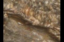 56705-210x140