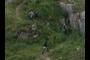 Hikers