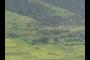 Village