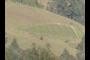 Lower Marking Corral