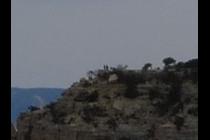 57079-210x140