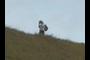 Hiker