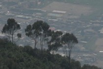 5471-210x140