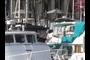 So many boats