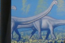 5678-210x140
