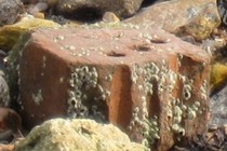 59250-210x140