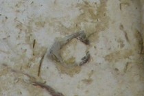 5802-210x140
