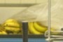 Old Bananas!