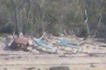 59496-210x140
