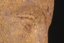 59720-210x140