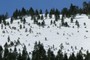 Remnants of a backcountry powder day.