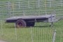 Cart