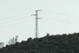 Power Lines