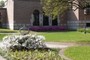 Rice University: Azalea Trail 4: Cohen House