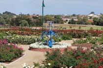 60091-210x140