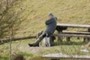Man and dog