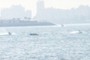 Jet Skiers