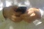 Hands