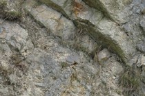 60333-210x140