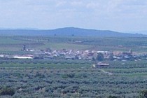60339-210x140