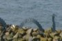 Loch Ness?