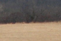60769-210x140