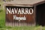 Navarro Vineyards