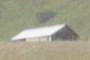 Barn