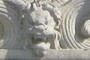 Mean Lion