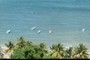 Boats tied to shore
