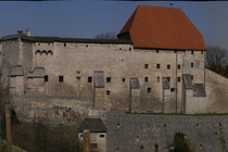 61731-210x140