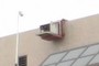 Falcon's nest