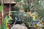 Thai Garden
