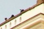 some snipers :)