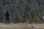 Person on the trail
