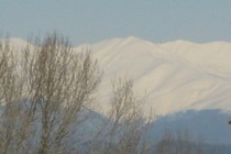 62953-210x140