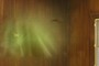  the green blod