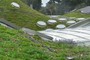 Cal Academy of Sciences Roof