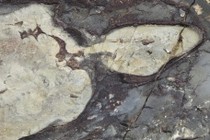 63967-210x140