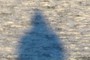 my shadow
