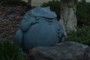 Frog Statue