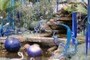 Phipps Conservatory Exhibit